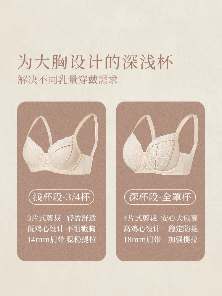 Elegant Lace Panel Comfort Bra | Seamless Lightweight Support Bra