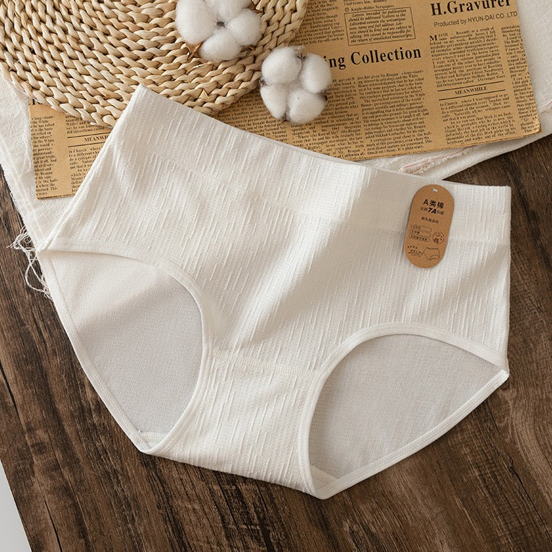 Pure Cotton & PLA Antibacterial Panty 4-Piece Set