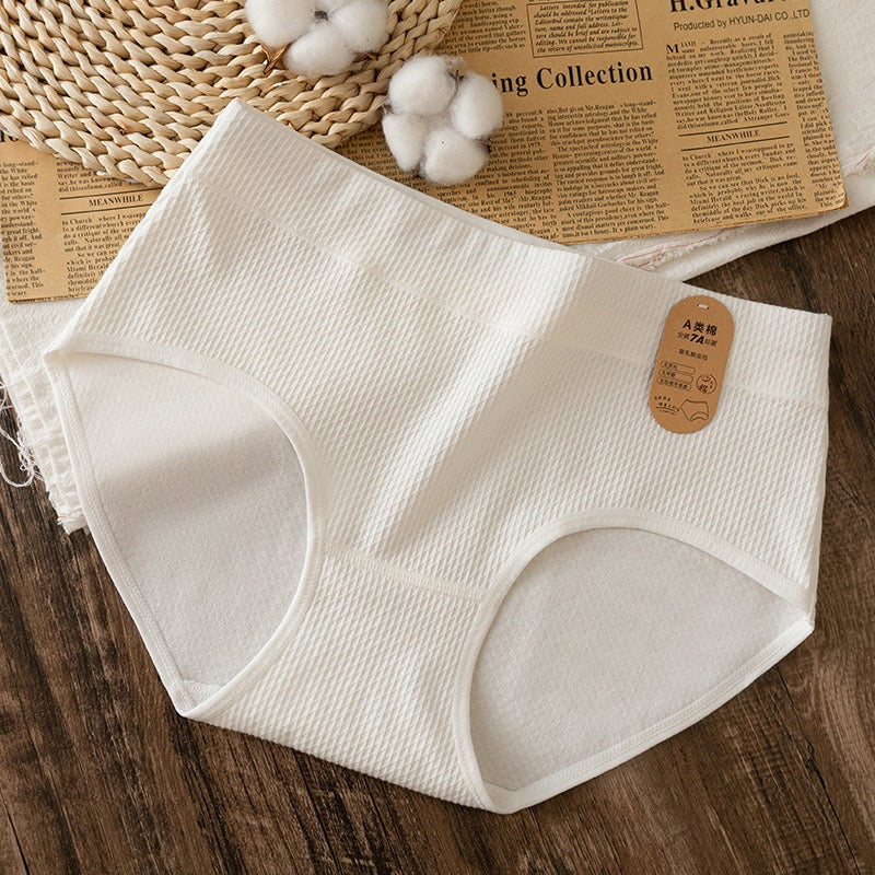 Pure Cotton & PLA Antibacterial Panty 4-Piece Set
